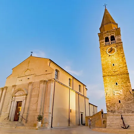 Ayni - Happy Umag