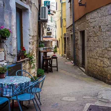 Ayni - Happy Umag